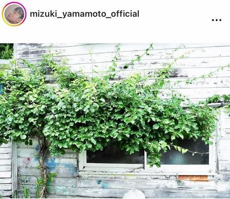 　山本美月のインスタグラム＠ｍｉｚｕｋｉ＿ｙａｍａｍｏｔｏ＿ｏｆｆｉｃｉａｌより