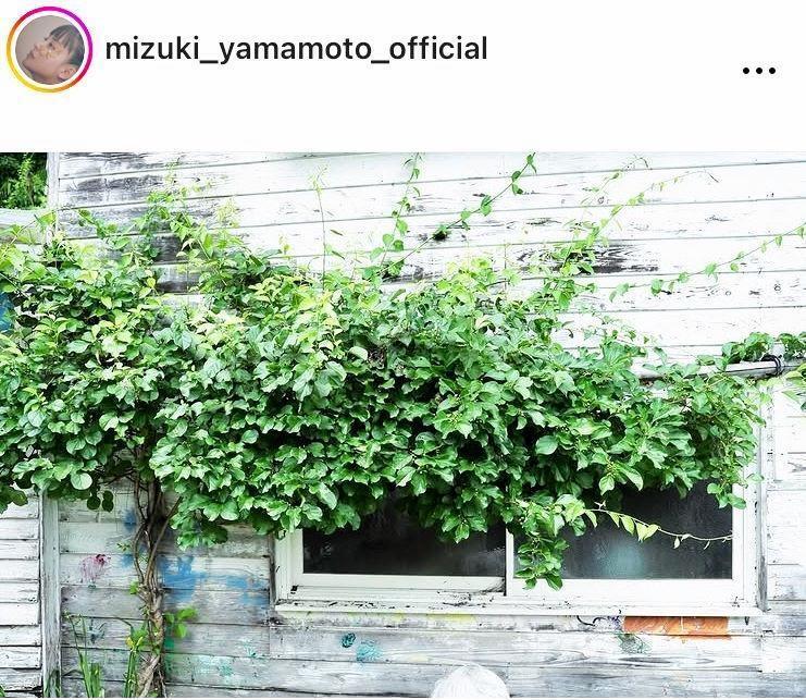 　山本美月のインスタグラム＠ｍｉｚｕｋｉ＿ｙａｍａｍｏｔｏ＿ｏｆｆｉｃｉａｌより