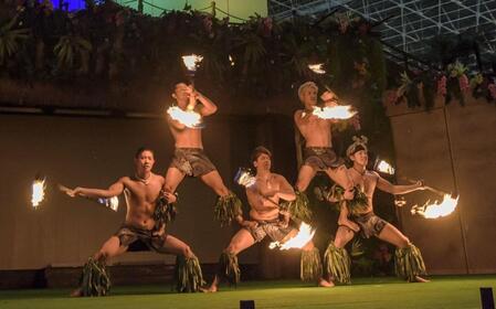 ファイアーナイフダンスチーム「Ｓｉｖａ　Ｏｌａ（シバオラ）」のショー