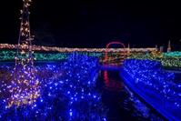 幻想的なイルミネーション「光の草原」