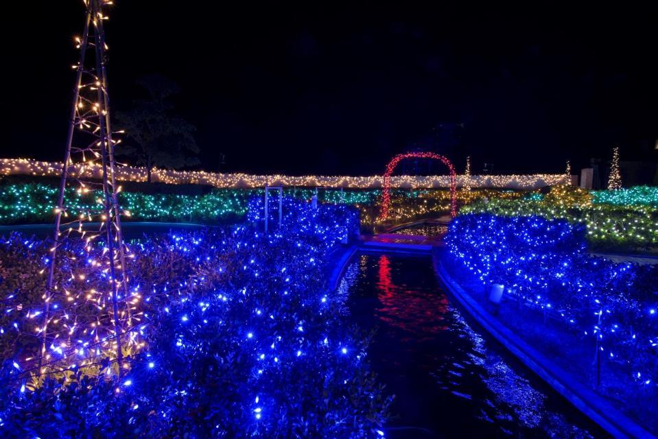 幻想的なイルミネーション「光の草原」