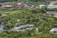 　開業した「ジャングリア沖縄」（ドローンから）