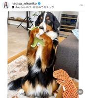 　渋谷凪咲のインスタグラム＠ｎａｇｉｓａ＿ｎｉｋｏｎｉｋｏから