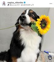 　渋谷凪咲のインスタグラム＠ｎａｇｉｓａ＿ｎｉｋｏｎｉｋｏから