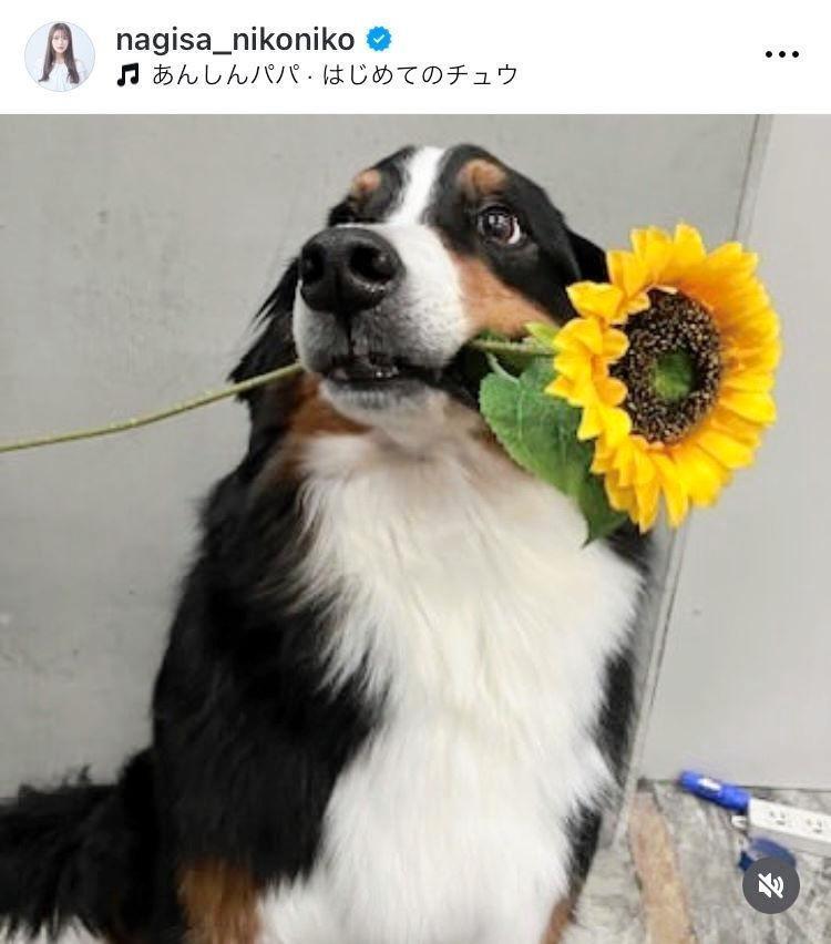 　渋谷凪咲のインスタグラム＠ｎａｇｉｓａ＿ｎｉｋｏｎｉｋｏから