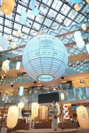 　色とりどりの提灯を見上げる波瑠（撮影・吉澤敬太）