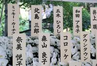 　北島三郎（後列左から２つ目）、和田アキ子（後列右）らから送られた花（撮影・西岡正）