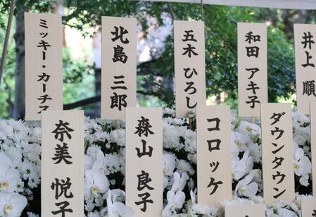 　北島三郎（後列左から２つ目）、和田アキ子（後列右）らから送られた花（撮影・西岡正）