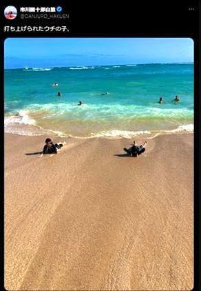 海で遊ぶ長男と長女。市川團十郎のＸ＠ＤＡＮＪＵＲＯ＿ＨＡＫＵＥＮより