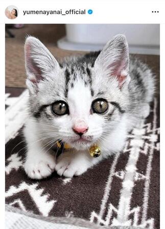 　箭内夢菜のインスタグラム＠ｙｕｍｅｎａｙａｎａｉ＿ｏｆｆｉｃｉａｌから