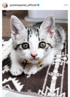 　箭内夢菜のインスタグラム＠ｙｕｍｅｎａｙａｎａｉ＿ｏｆｆｉｃｉａｌから