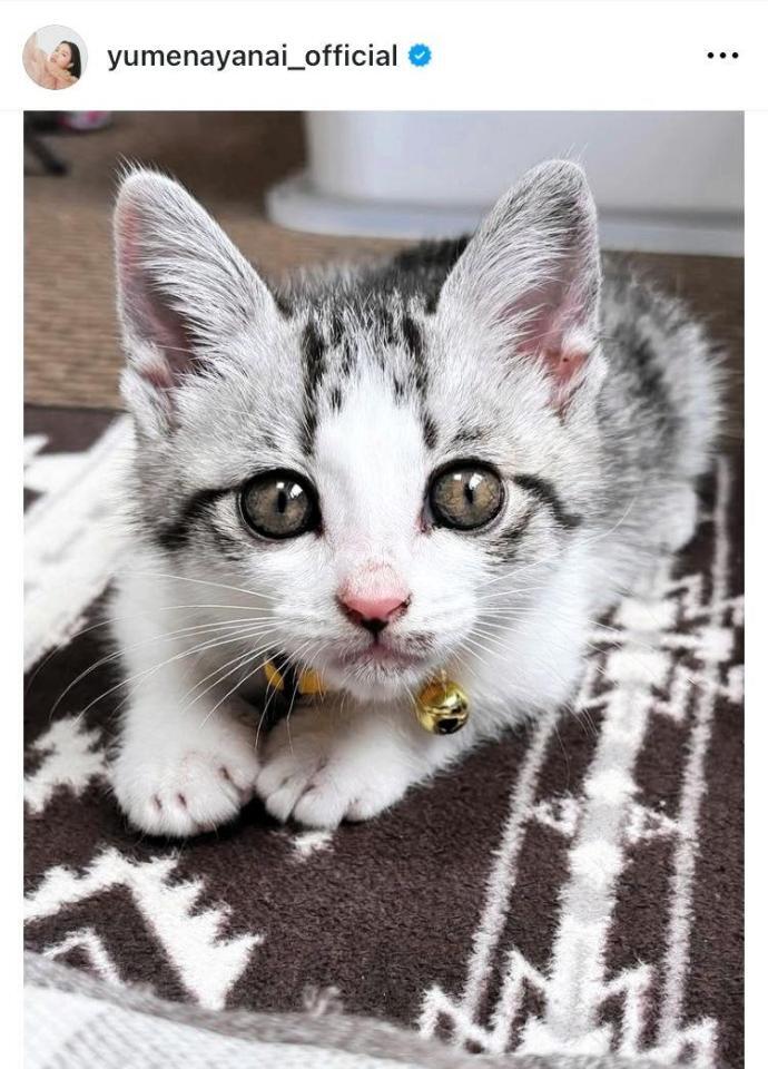 　箭内夢菜のインスタグラム＠ｙｕｍｅｎａｙａｎａｉ＿ｏｆｆｉｃｉａｌから