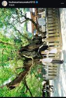 益若つばさのインスタグラム＠ｔｓｕｂａｓａｍａｓｕｗａｋａ１０１３から