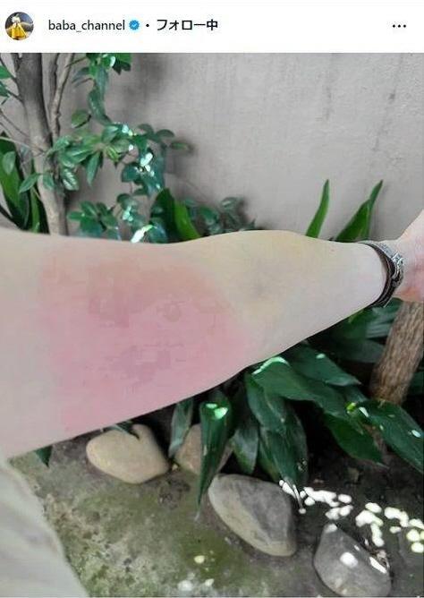 馬場典子アナウンサーのインスタグラム＠ｂａｂａ＿ｃｈａｎｎｅｌ 