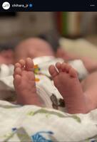 　千原ジュニアのインスタグラム（＠ｃｈｉｈａｒａ＿ｊｒ）より