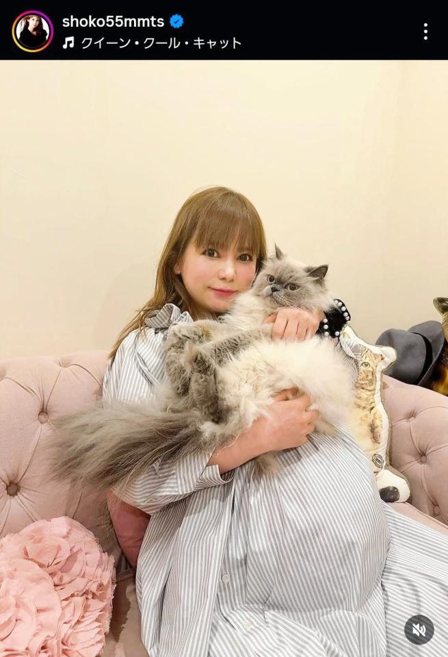 　中川翔子インスタグラム＠ｓｈｏｋｏ５５ｍｍｔｓから