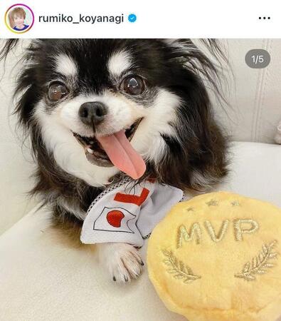 小柳ルミ子のインスタグラム＠ｒｕｍｉｋｏ＿ｋｏｙａｎａｇｉ（２４年８月１０日付）より