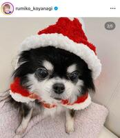 小柳ルミ子のインスタグラム＠ｒｕｍｉｋｏ＿ｋｏｙａｎａｇｉ（２４年１２月２４日付）より