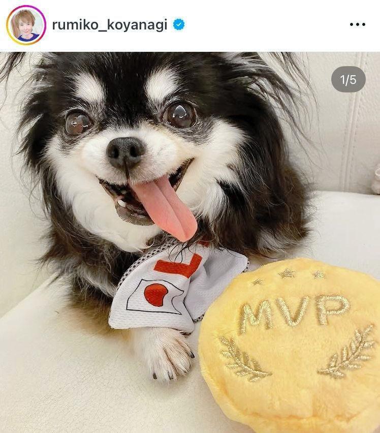 小柳ルミ子のインスタグラム＠ｒｕｍｉｋｏ＿ｋｏｙａｎａｇｉ（２４年８月１０日付）より