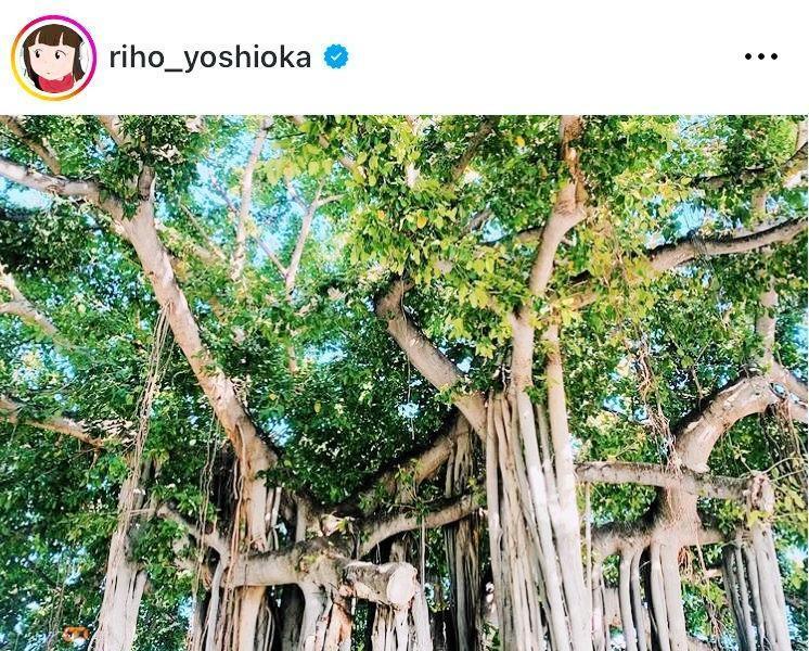 吉岡里帆のインスタグラム＠ｒｉｈｏ＿ｙｏｓｈｉｏｋａより