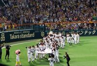 　優勝ペナントを手に場内一周する藤川監督（左手前）ら阪神ナイン（撮影・山口登）