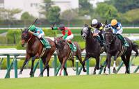 　馬群を縫うように抜け出すオールナット（左）＝撮影・石湯恒介