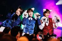 　猫のコスプレ姿でシャッフルユニットステージを行った（左から）小野寺翼、松岡卓弥、塩田将己