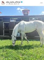 　皆藤愛子のインスタグラム＠ａｉｋｏ＿ｋａｉｔｏ＿ｏｆｆｉｃｉａｌから