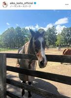 　皆藤愛子のインスタグラム＠ａｉｋｏ＿ｋａｉｔｏ＿ｏｆｆｉｃｉａｌから