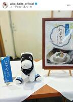 　皆藤愛子のインスタグラム＠ａｉｋｏ＿ｋａｉｔｏ＿ｏｆｆｉｃｉａｌから