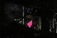 　再出火を防ぐ放水が行われた林家ペー・パー子宅と見られるマンションの一室（撮影・伊藤笙子）