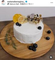 米粉、豆乳クリームで作ったアレルギー対応のケーキ。渡邊渚アナのインスタグラム＠ｗａｔａｎａｂｅｎａｇｉｓａ＿（９月１９日付）より