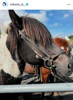 　見上愛のインスタグラム＠ｍｉｋａｍｉ＿ａｉ＿から