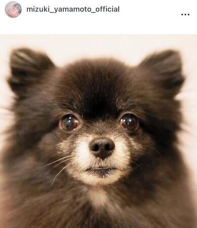 山本美月のインスタグラム＠ｍｉｚｕｋｉ＿ｙａｍａｍｏｔｏ＿ｏｆｆｉｃｉａｌより