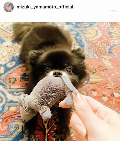 山本美月のインスタグラム＠ｍｉｚｕｋｉ＿ｙａｍａｍｏｔｏ＿ｏｆｆｉｃｉａｌより