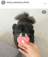 　山本美月のインスタグラム＠ｍｉｚｕｋｉ＿ｙａｍａｍｏｔｏ＿ｏｆｆｉｃｉａｌより
