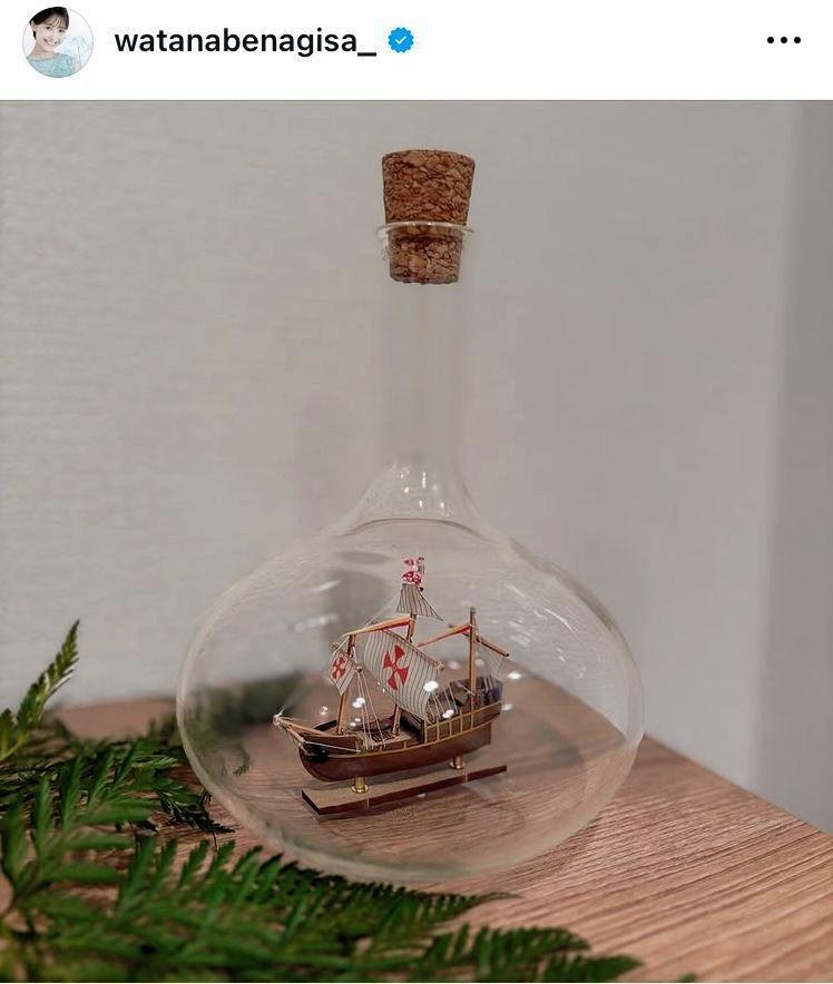 渡邊渚のインスタグラム＠ｗａｔａｎａｂｅｎａｇｉｓａ＿より 