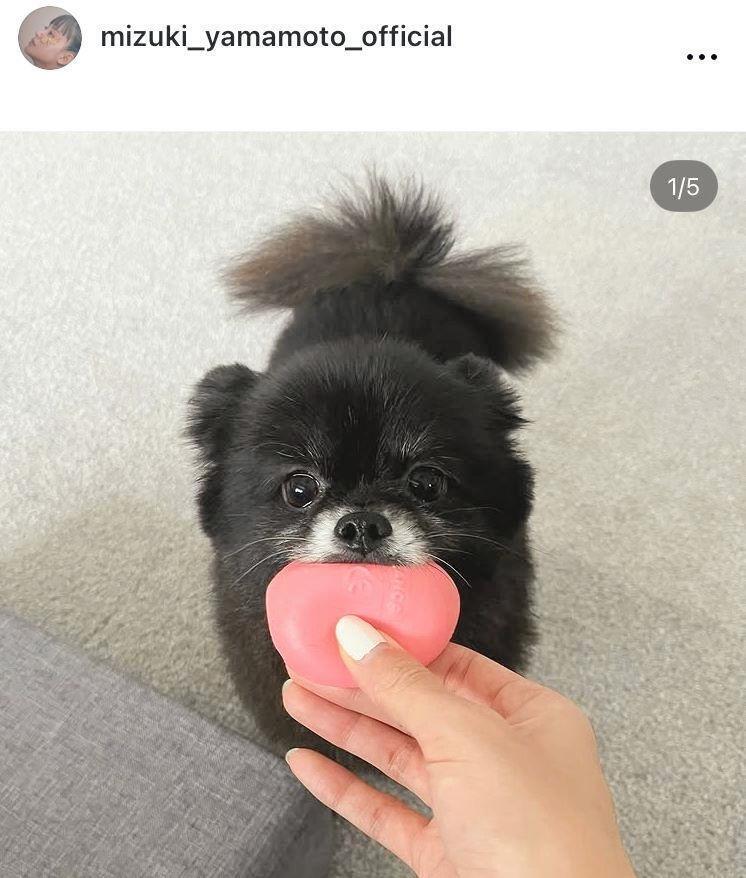 　山本美月のインスタグラム＠ｍｉｚｕｋｉ＿ｙａｍａｍｏｔｏ＿ｏｆｆｉｃｉａｌより