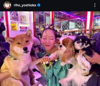 　吉岡里帆インスタグラム＠ｒｉｈｏ＿ｙｏｓｈｉｏｋａから