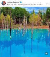 長田庄平のインスタグラム＠ｏｓａｄａｓｈｏｕｈｅｉから