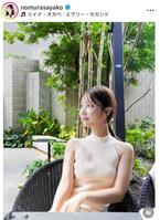 野村彩也子のインスタグラム＠ｎｏｍｕｒａｓａｙａｋｏより