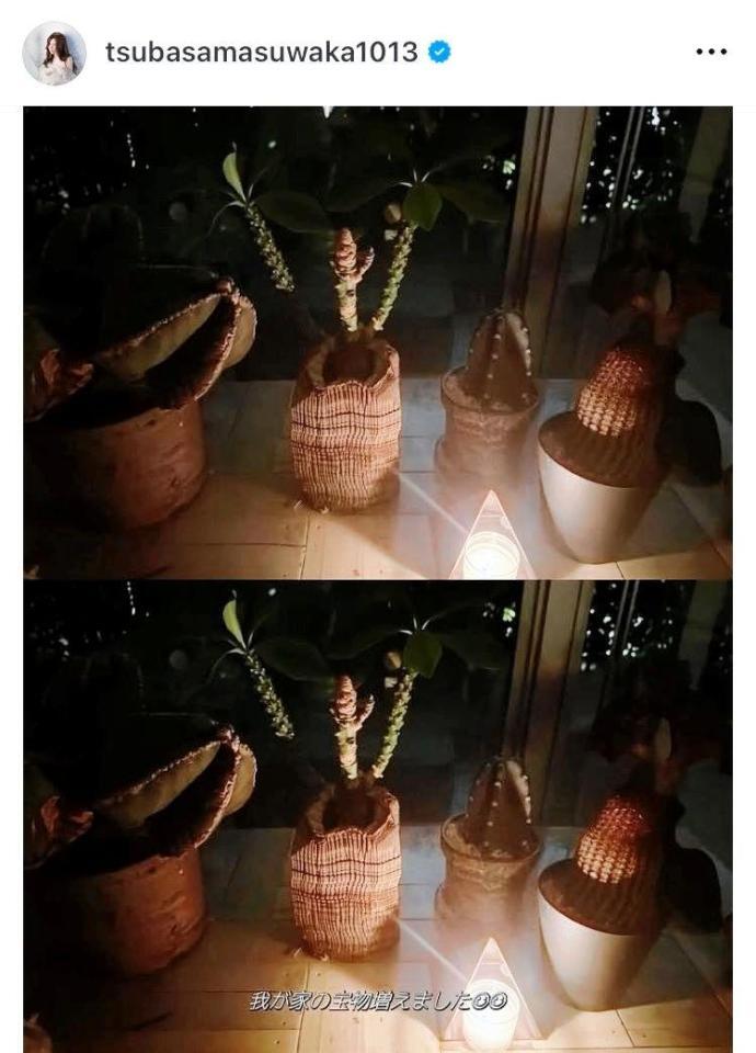 　益若つばさのインスタグラム＠ｔｓｕｂａｓａｍａｓｕｗａｋａ１０１３から