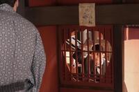 　ＮＨＫ連続テレビ小説「ばけばけ」より