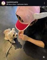 磯山さやかインスタグラム＠ｓａｙａｋａｉｓｏｙａｍａから