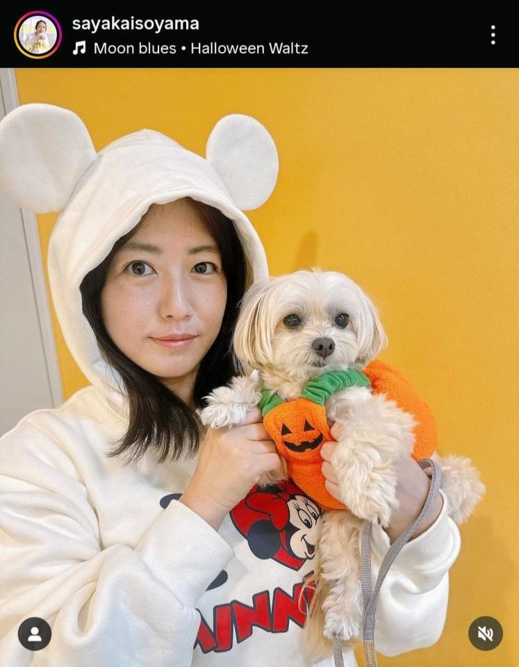 磯山さやかインスタグラム＠ｓａｙａｋａｉｓｏｙａｍａから