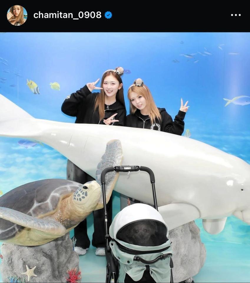 ゆうちゃみのインスタグラム＠ｃｈａｍｉｔａｎ＿０９０８から