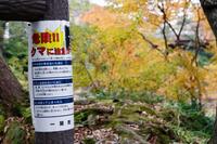 　国の名勝「厳美渓」でクマへの警戒を呼びかける張り紙＝岩手県一関市