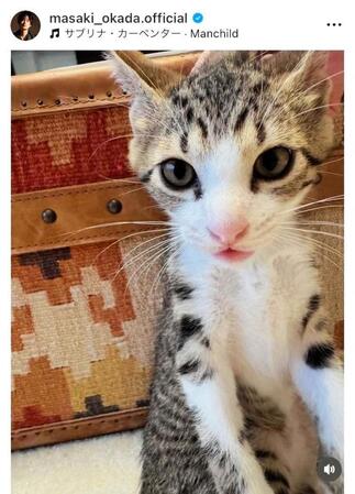 　岡田将生のインスタグラム＠ｍａｓａｋｉ＿ｏｋａｄａ．ｏｆｆｉｃｉａｌから