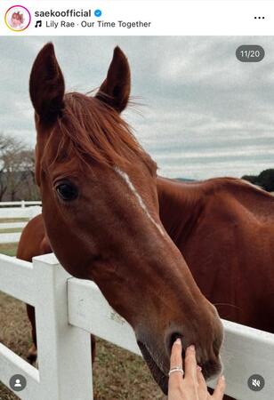 　紗栄子のインスタグラム（ｓａｅｋｏｏｆｆｉｃｉａｌ）より