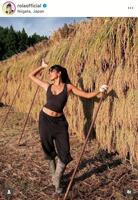 米を収穫するローラのインスタグラム＠ｒｏｌａｏｆｆｉｃｉａｌより